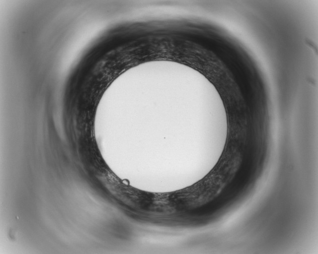 X0000102030766200808151341