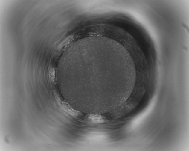 X0000102030767200808151341