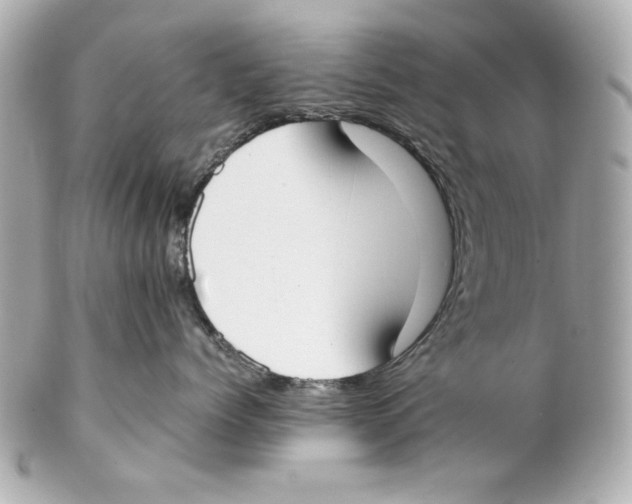 X0000102030768200808151341