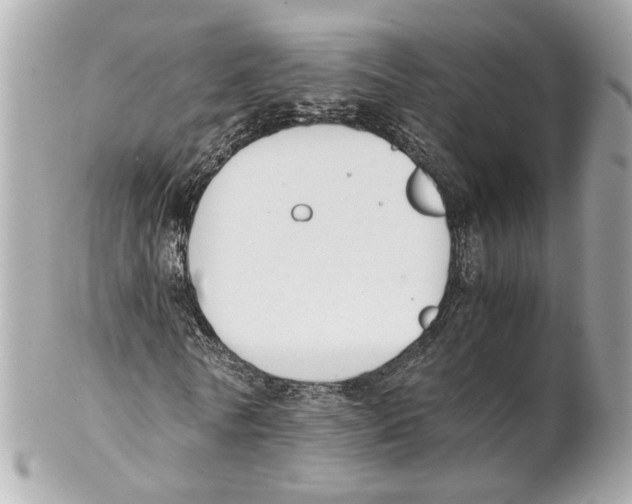 X0000102030770200808151340