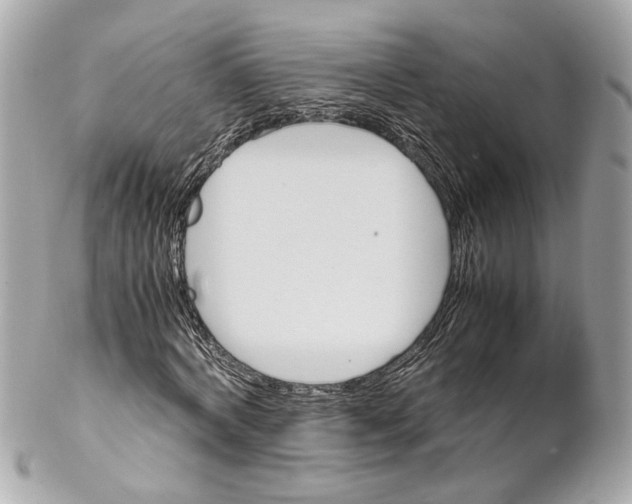 X0000102030772200808151340