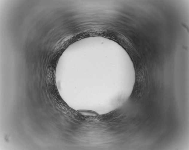 X0000102030773200808151340