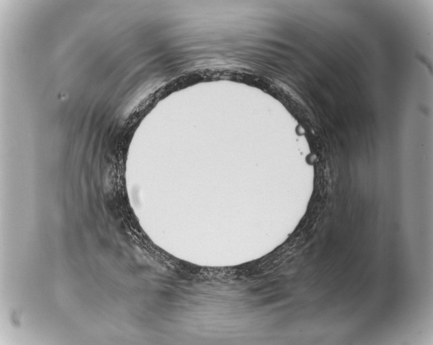 X0000102030775200808151340