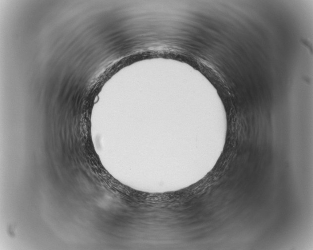 X0000102030776200808151340