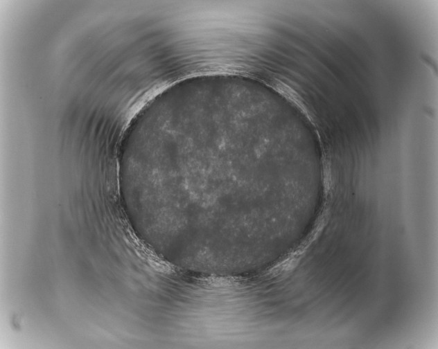 X0000102030781200808151340