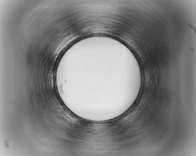 X0000102030782200808151340