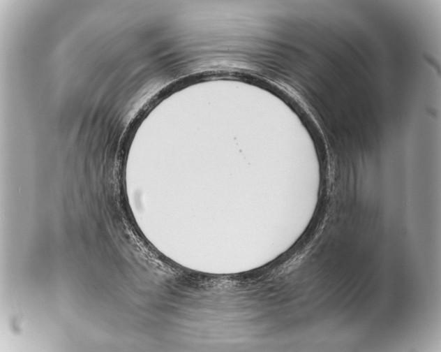 X0000102030783200808151340