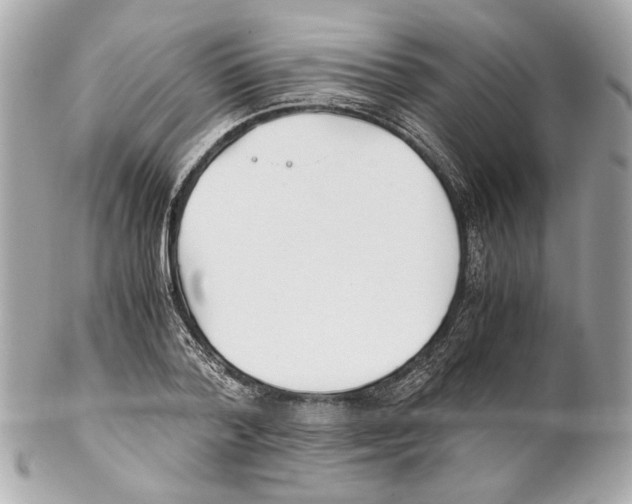 X0000102030788200808151340