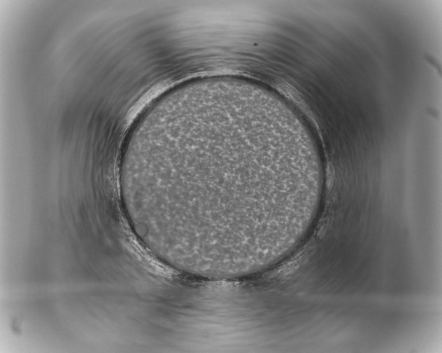 X0000102030789200808151340