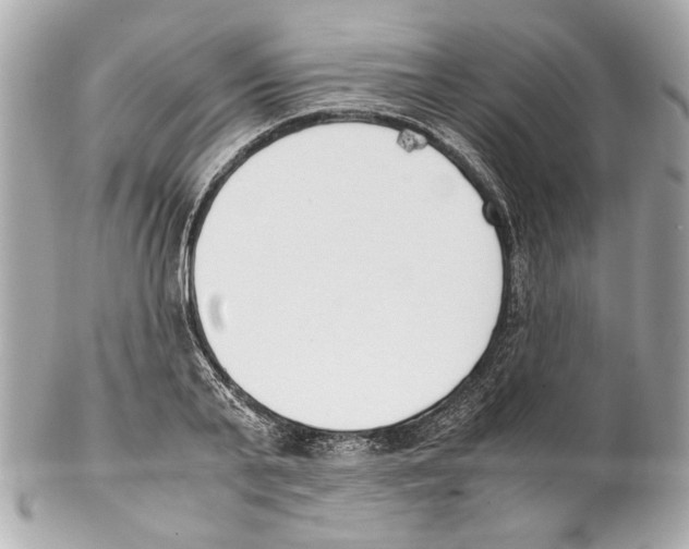 X0000102030791200808151340