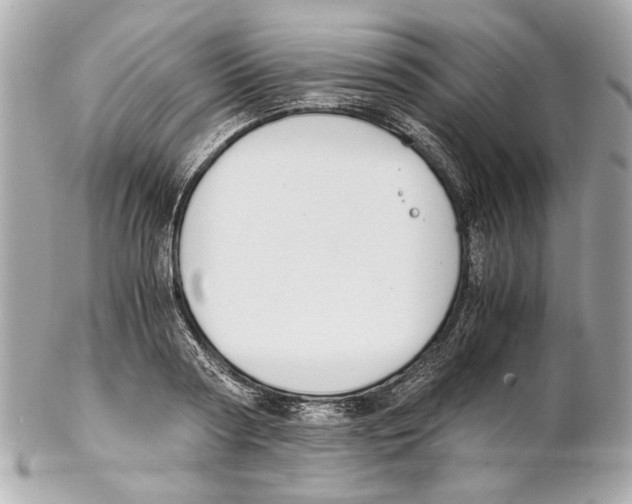 X0000102030794200808151340