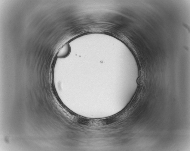 X0000102030795200808151340