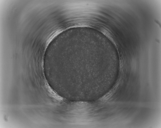 X0000102030797200808151340