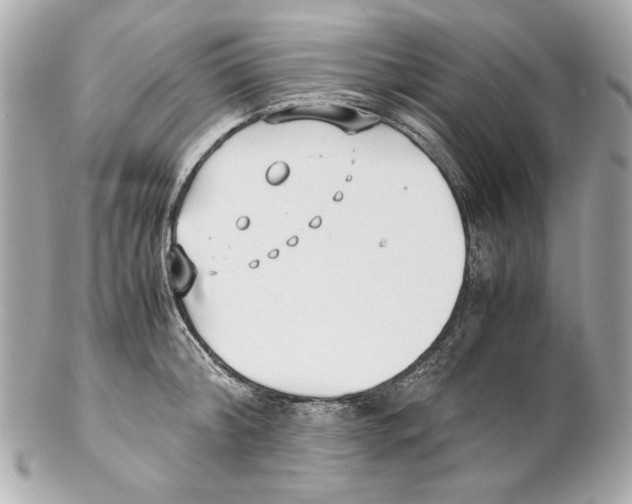 X0000102030804200808151340