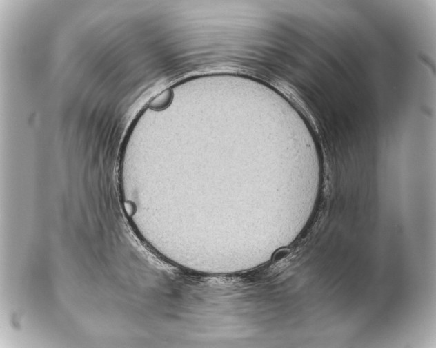 X0000102030805200808151340