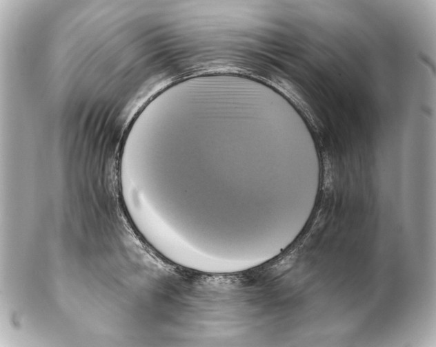 X0000102030806200808151340