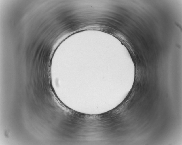 X0000102030808200808151340