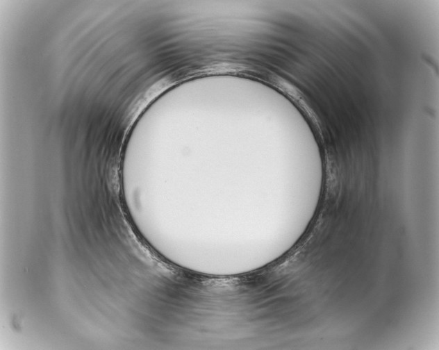 X0000102030810200808151340