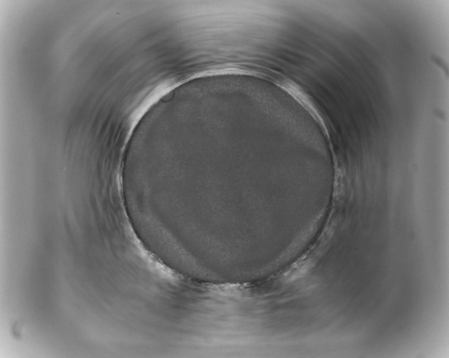 X0000102030813200808151340