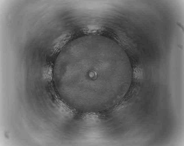 X0000102030820200808151339