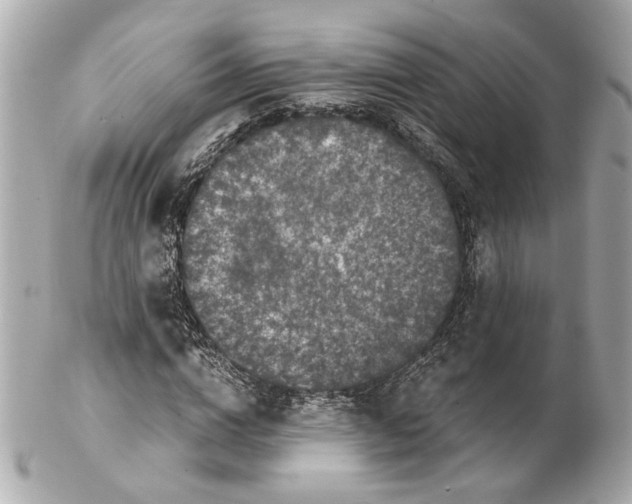 X0000102030824200808151339