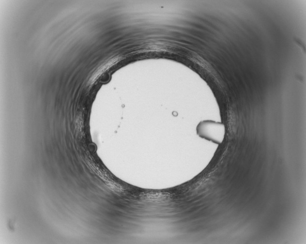 X0000102030826200808151339