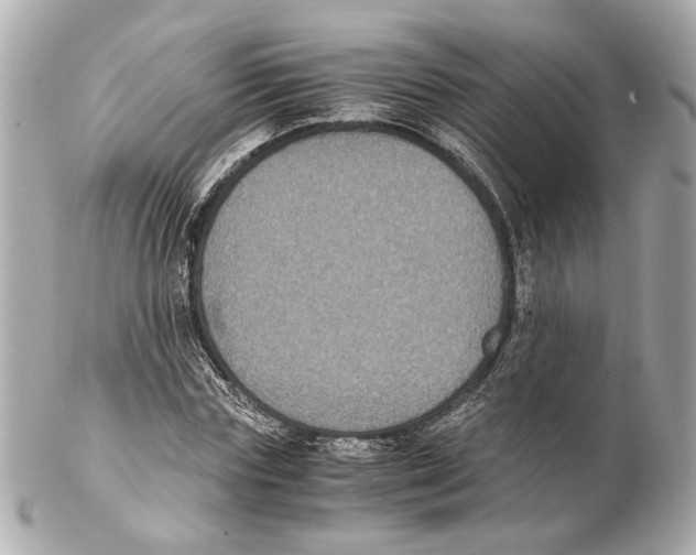 X0000102030827200808151339