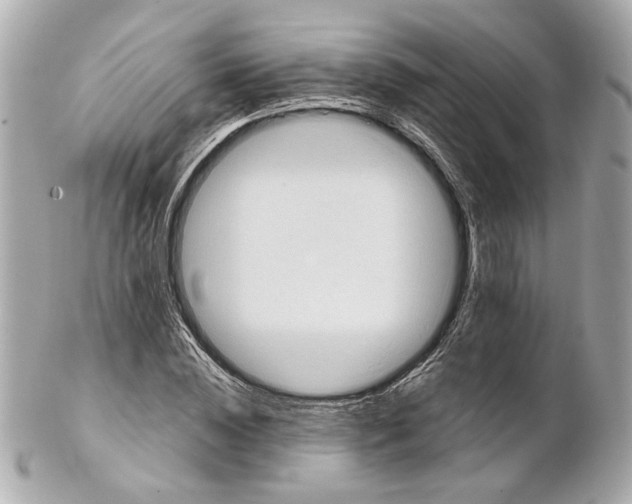 X0000102030828200808151339