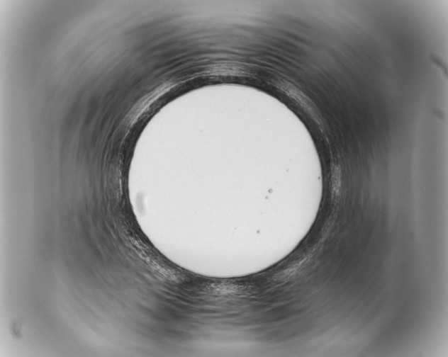 X0000102030829200808151339