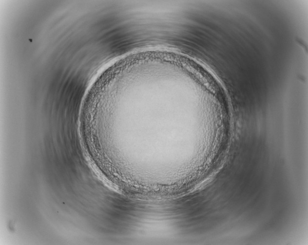 X0000102030832200808151339