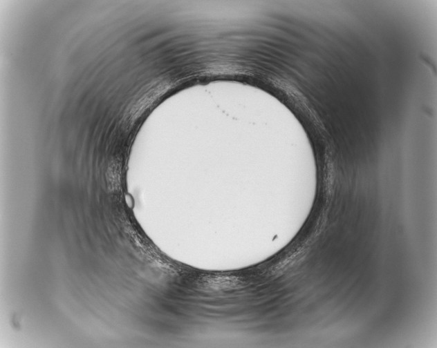 X0000102030833200808151339