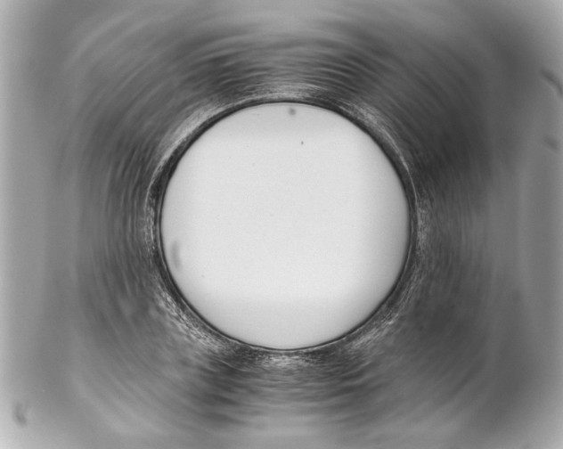 X0000102030835200808151339