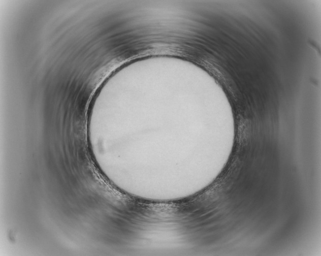 X0000102030836200808151339