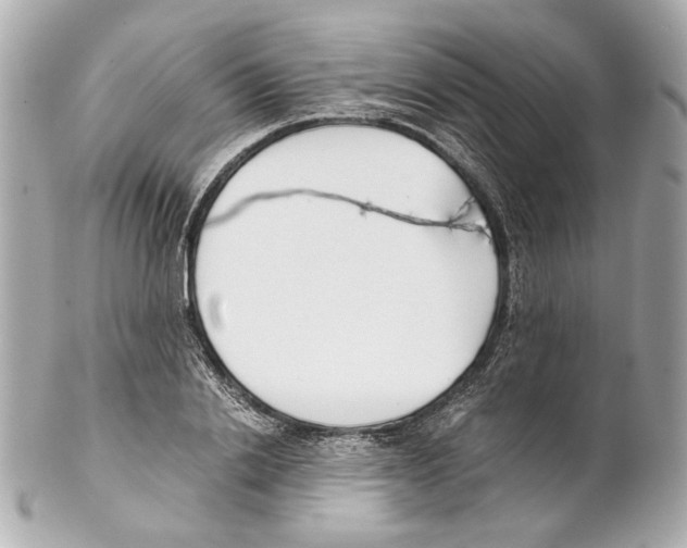 X0000102030838200808151339