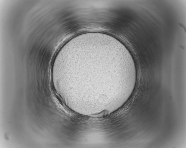 X0000102030840200808151339