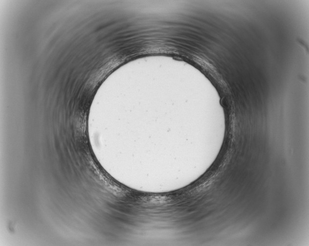 X0000102030841200808151339