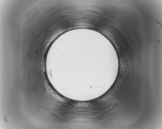 X0000102030843200808151339