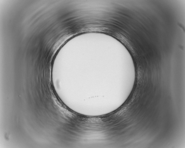 X0000102030844200808151339