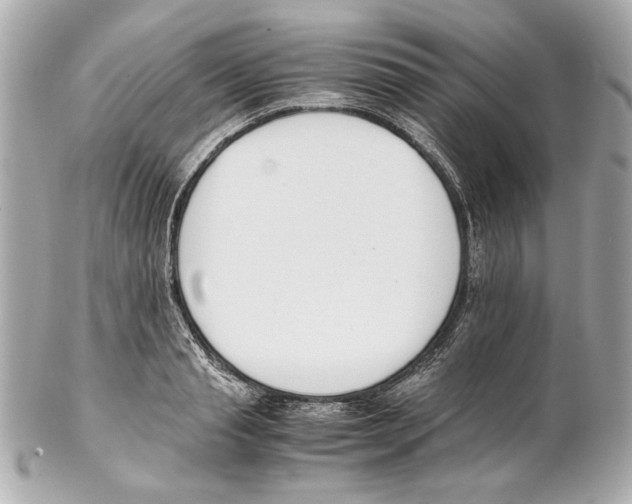 X0000102030845200808151339