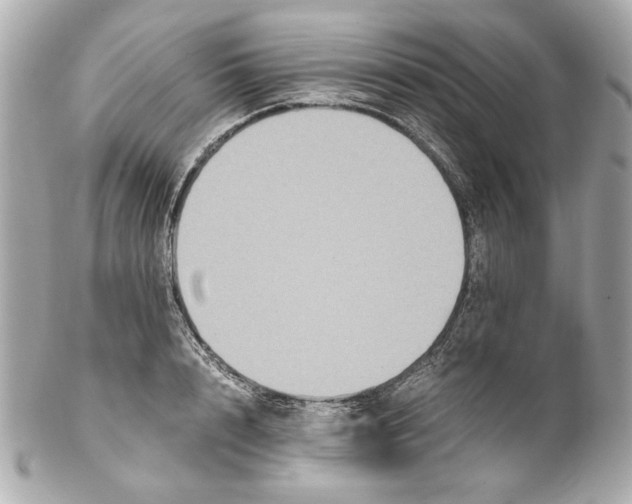 X0000102030848200808151339