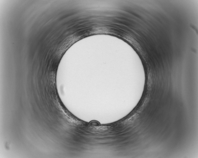 X0000102030849200808151339