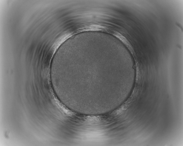 X0000102030850200808151339