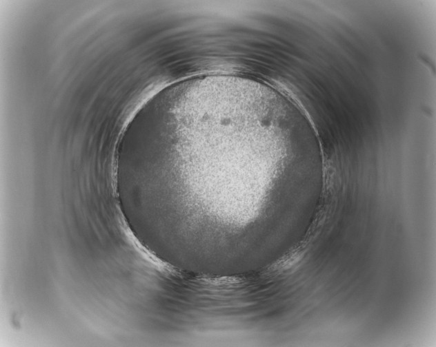 X0000102030851200808151339