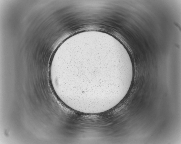 X0000102030853200808151339