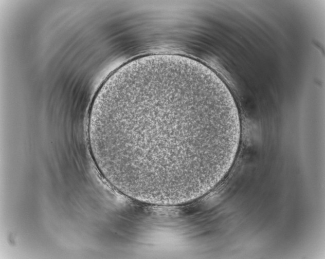 X0000102030856200808151339