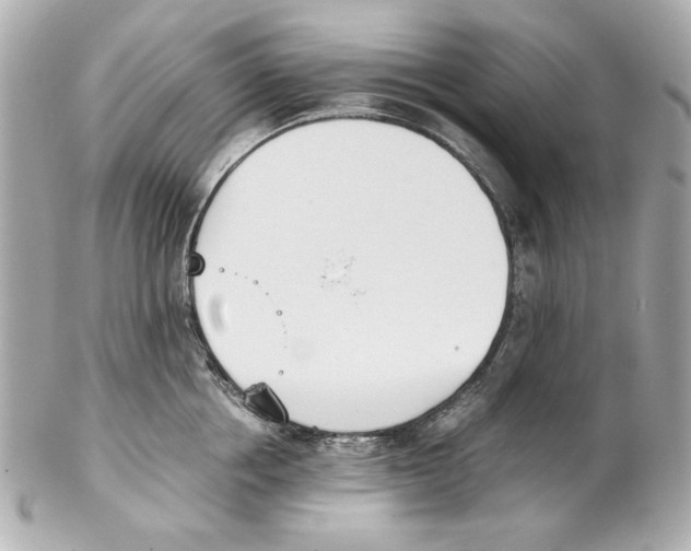 X0000102030858200808151339