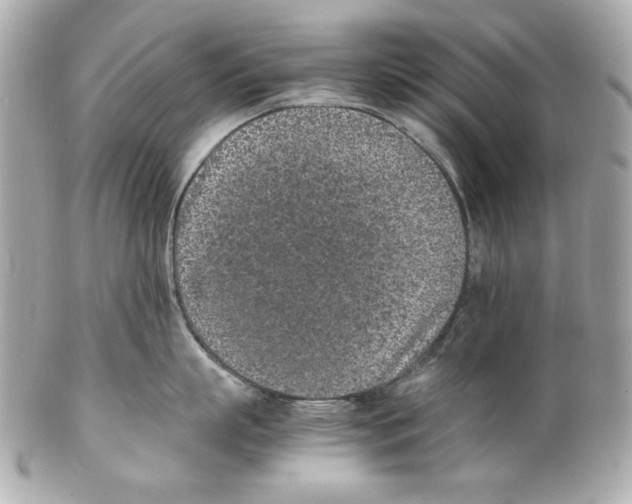 X0000102030863200808151340