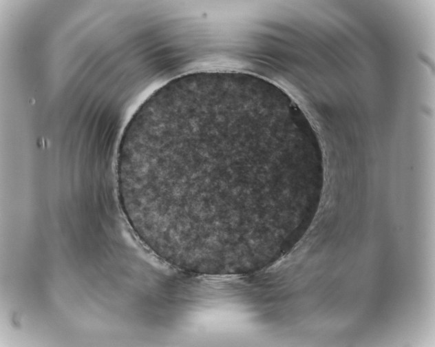 X0000102030864200808151340