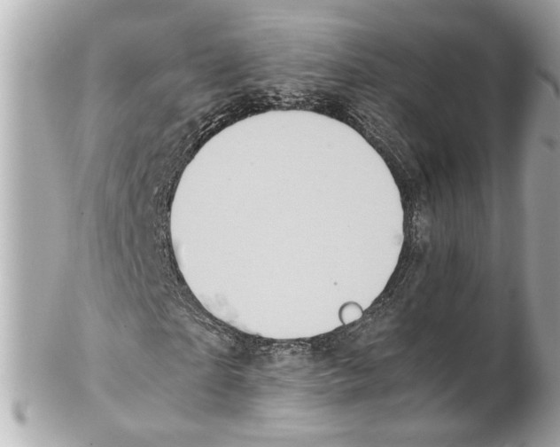 X0000102030865200808151339