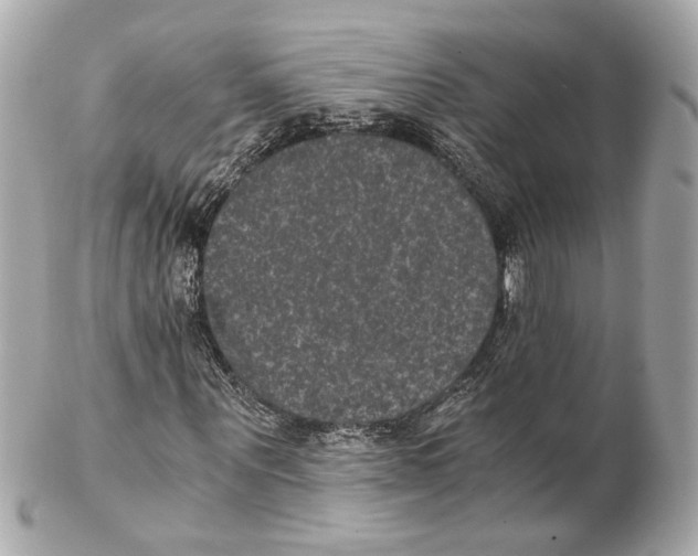 X0000102030867200808151339